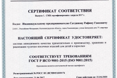 Сертификат ИСО